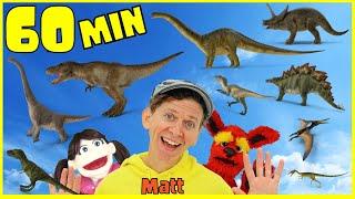 Dinosaur and More Songs with Matt | 1 Hour Long Play | What Do You See? Song