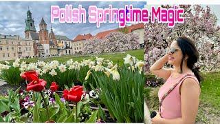 Vibrant Spring Blossoms in poland | Easter Market| Wawel Royal Castel |Krakow 2024