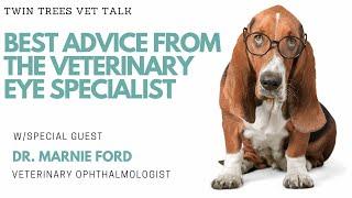 When Should My Pet See An Eye Doctor? | Twin Trees Vet Talk (FREE VET ADVICE PODCAST)