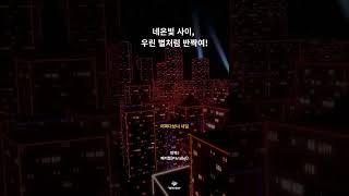 [Wavbor X 웨이버픽 플리] / #playlist #플레이리스트 #플리 #artist #패러렐