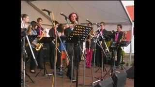 Petra Janů & ZUŠ - BAND Chlumec n. C. - P. Janda / M. Černý - NIC SE NEMĚNÍ