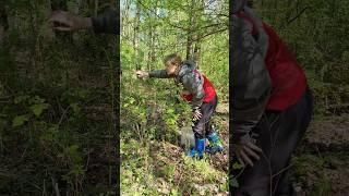 Смотрите какие красивые грибы. СМОРЧКИ КОНИЧЕСКИЕ. #shorts