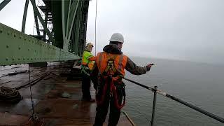 Astoria-Megler Bridge Cormorant Relocation