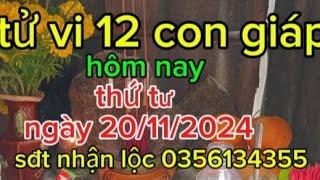 Tử vi 12 con giáp hôm nay thứ 4 ngày 20/11/2024(cầu tài lộc ngày Mậu tý)