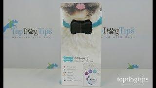 FitBark 2 Dog Activity Monitor Review