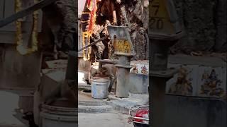 Ek Tere Bharose,pe,#Hanuman Ji Shani Maharaj#Bhakti Santosh#trending#shrot,video#viral#e subscribe
