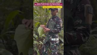 Inilah Rahasia Prajurit TNI Bertahan Hidup di Hutan Tanpa Persediaan Makanan #tni #tniad #viral