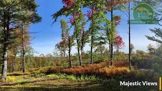 209 Acres in Central Vermont