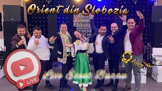   Orient Orchestra din Slobozia  Liviu de la Orboiesti Sa vina LIVE 2023 @abm @LiviuOrboiesti