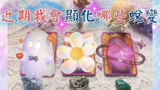 塔羅占近期我將會顯化哪些蛻變🪄『豐盛的自己』『重生後的好消息』''cc字幕''