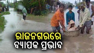 Trees uprooted as Cyclone Dana causes destruction in Kendrapara's Rajnagar || KalingaTV