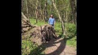  Wandern im Saarland HECKENTALHEIM "rund um Dalem"  Saarpfalz Rundtour Bliesgaulandschaft 