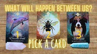  WHAT WILL HAPPEN BETWEEN US!? Find out the future of this connection… / PICK A CARD Love Tarot