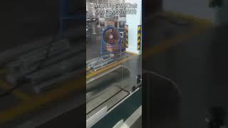 2 in 2 out testing video with self adhesive labeler and ribbon printer