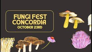 Fungi Fest Mtl