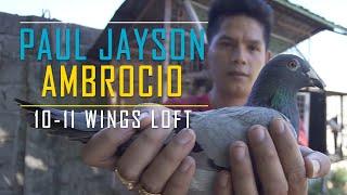 Top Secrets of Mr. Paul Jayson Ambrocio in Pigeon Racing