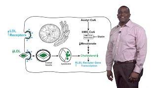 Russell DeBose-Boyd (UTSW) 1: Feedback Regulation of HMG CoA Reductase