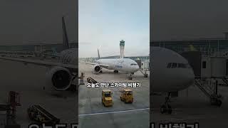 한 대만 있는 게 아닌가봐요