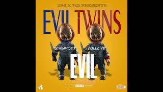 SevenMile P & Diallo Ve - Birkin Bag