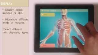 Easy Anatomy 3D (app)