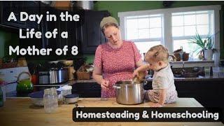 A Day in the Life of a Homeschool Mom of 8