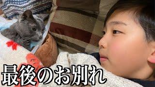 【命の大切さ】大切な家族が天国に旅立ちました。