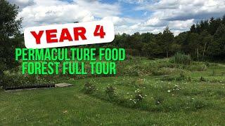 FULL TOUR OF MY 4TH YEAR BUILDING MY PERMACULTURE FOOD FOREST