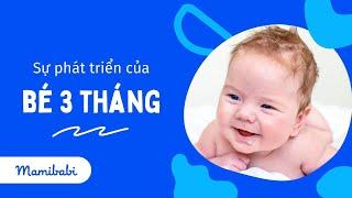 Sự Phát Triển Của Bé 3 Tháng Tuổi - Bé 3 Tháng Tuổi Biết Làm Gì?