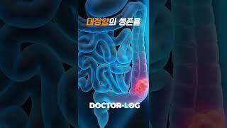 대장암의 생존율️