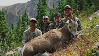 NM Archery Bighorn Hunt 2022