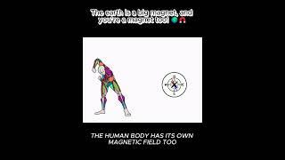 The earth is a big magnet, and you’re a magnet too!! #humanbody #facts