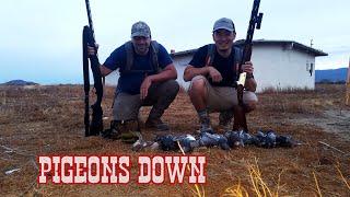 House Cleaning - Pigeon and Dove Hunt with shotkam and gopro