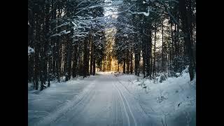 The best Christmas music Merry Christmas Happy Holidays #christmas #christmasmusic #music