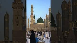 BeautifulNath Collection of the Year 2025 Il New Naat Rasool II #naat #nabi #shortvideo #viral