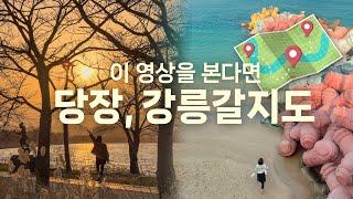 강릉 1박 2일 여행 지도 공유, 누구랑 가도 전부 만족할 감성 여행 코스! (강릉 맛집, 강릉 카페, 가성비 숙소, 감성 명소)