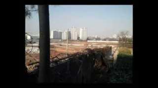[부동산 진품명품] 부동산 투자 1-18 금천구 독산동 상가임대 물건 평가분석(부동산중개)
