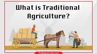 What is Traditional Agriculture?