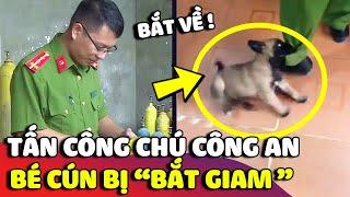 Chú cún giang hồ bị 'BẮT TẠM GIAM' với tội danh tấn công 'CHÚ CÔNG AN'  | Gâu Đần