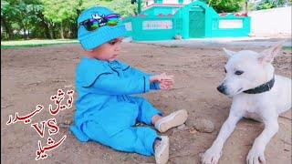 My Son Playing with Puppy Dog | My Brave Son | Baby Playing with Dog #CCFG | Haider Ali