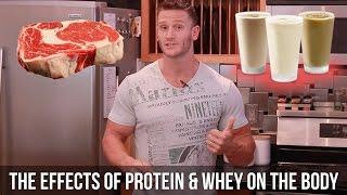 How Does Whey Protein Affect Fat Loss and Insulin - Thomas DeLauer