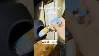 Found a Secret MrBeast Lab Swarm...