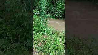Serra Catarinense com muita chuva.