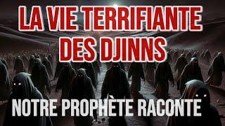 LA VIE TERRIFIANTE DES DJINNS - NOTRE PROPHÈTE (SWS) A DÉCRIT LES DJINNS DE CETTE MANIÈRE