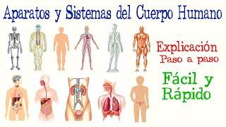 Aparatos y Sistemas del Cuerpo Humano | [Fácil y Rápido] | BIOLOGÍA |