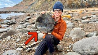 We Found a SUPER RARE Cuttlefish Fossil Washed Out by the Storm!