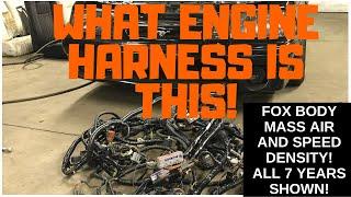 COMPLETE GUIDE Mass Air & Speed Density Engine Harness ALL 7 years covered! 87-93 Ford Mustang