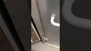 Душевая стеклянная дверь из матового осветлённого закаленного стекла