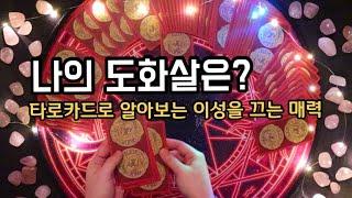 타로카드 나의 도화살은? 이성을 끄는 나의 매력 알아보기 [도화살 타로/타로카드] 재업영상