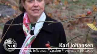 Influenza in Europe: Protect yourself and those around you