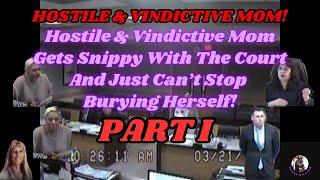 Hostile & Vindictive Mom Gets Snippy With The Court And Just Can’t Stop Burying Herself!
